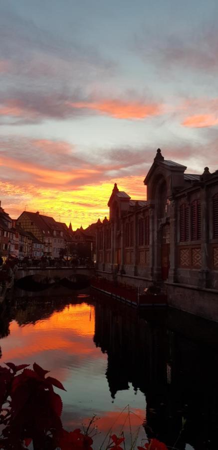 New ! Vue Petite Venise, Place To Be - Parking Colmar Ngoại thất bức ảnh