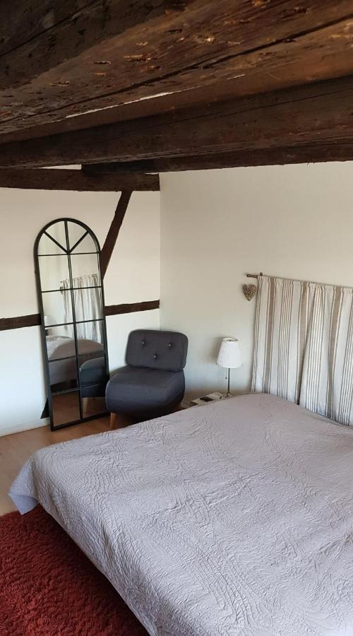 New ! Vue Petite Venise, Place To Be - Parking Colmar Ngoại thất bức ảnh