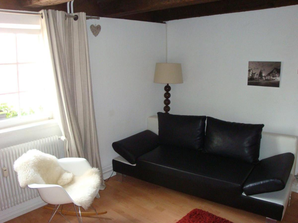 New ! Vue Petite Venise, Place To Be - Parking Colmar Ngoại thất bức ảnh